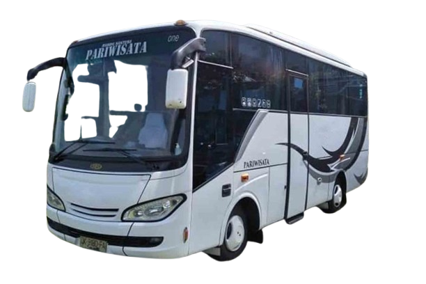 Isuzu Medium Bus